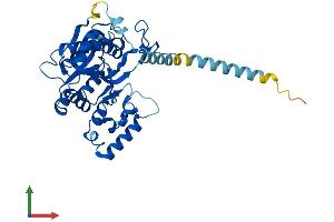Protein Structure (PS) image for UDP-GlcNAc:betaGal beta-1,3-N-Acetylglucosaminyltransferase 5 (B3GNT5) (AA 1-378) protein (His tag) (ABIN7552648)