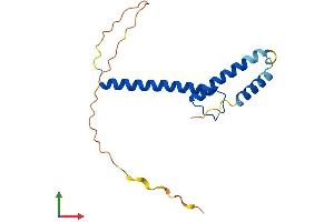 AlphaFold protein structure predicition of Human Recombinant TWIST2 Protein, UniprotID Q8WVJ9