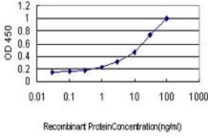 Detection limit for recombinant GST tagged HHEX is approximately 0. (HHEX 抗体  (AA 1-270))