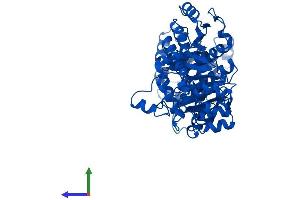 Protein Structure (PS) image for 5-Aminoimidazole-4-Carboxamide Ribonucleotide Formyltransferase/IMP Cyclohydrolase (ATIC) (AA 1-592) protein (His tag) (ABIN7560668)