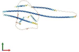 AlphaFold protein structure predicition of Human Recombinant TRAF3IP3 Protein, UniprotID Q9Y228
