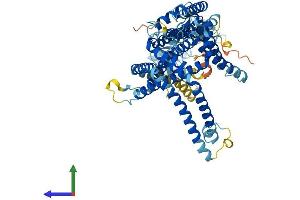 Protein Structure (PS) image for Solute Carrier Family 44, Member 4 (SLC44A4) (AA 1-707) protein (His tag) (ABIN7559980)