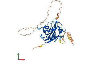 AlphaFold protein structure predicition of Human Recombinant SIAH3 Protein, UniprotID Q8IW03 (SIAH3 Protein (AA 1-269) (His tag))