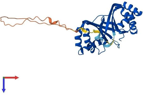 GBAS Protein (AA 1-281) (His tag)