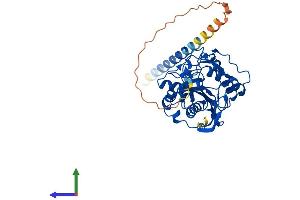AlphaFold protein structure predicition of Human Recombinant B4GALT2 Protein, UniprotID O60909