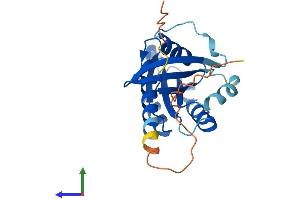 Protein Structure (PS) image for RAB19, Member RAS Oncogene Family (RAB19) (AA 1-217) protein (His tag) (ABIN7563162)