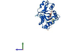Protein Structure (PS) image for Nicotinamide Nucleotide Adenylyltransferase 3 (NMNAT3) (AA 1-252) protein (His tag) (ABIN7549889)