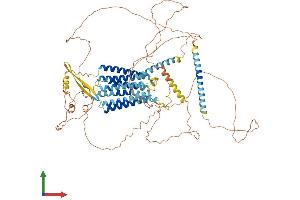 AlphaFold protein structure predicition of Human Recombinant GPR156 Protein, UniprotID Q8NFN8