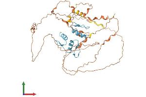 Protein Structure (PS) image for Kruppel-Like Factor 5 (Intestinal) (KLF5) (AA 1-446) protein (His tag) (ABIN7556364)