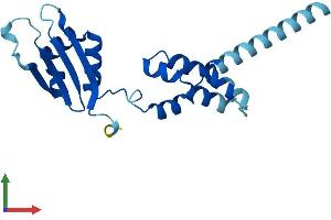 Protein Structure (PS) image for F-Box Protein 36 (FBXO36) (AA 1-188) protein (His tag) (ABIN7560502)