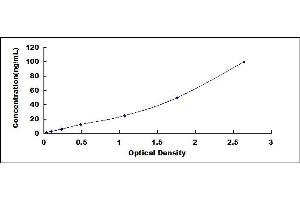 Typical standard curve (Albumin ELISA 试剂盒)