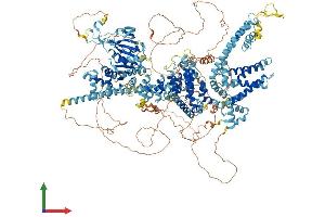Protein Structure (PS) image for Transient Receptor Potential Cation Channel, Subfamily M, Member 1 (TRPM1) (AA 1-1603) protein (His tag) (ABIN7555857)