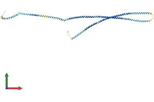 Protein Structure (PS) image for Trichoplein, Keratin Filament Binding (TCHP) (AA 1-498) protein (His tag) (ABIN7544301)