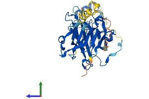Protein Structure (PS) image for Programmed Cell Death 2 (PDCD2) (AA 1-344) protein (His tag) (ABIN7550670)