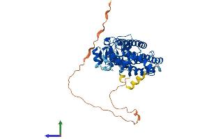 Protein Structure (PS) image for Peroxisome Proliferator-Activated Receptor delta (PPARD) (AA 1-441) protein (His tag) (ABIN7550971)