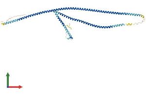 Protein Structure (PS) image for Growth Arrest-Specific 8 (GAS8) (AA 1-478) protein (His tag) (ABIN7547915)