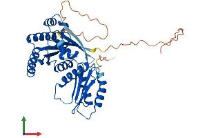 Protein Structure (PS) image for Ras-Related GTP Binding B (RRAGB) (AA 1-374) protein (His tag) (ABIN7557955)
