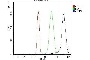 Flow Cytometry analysis of HepG2 cells using anti-Aurora A/AURKA antibody (ABIN7600751).