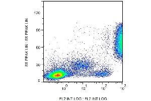 Surface staining of CD16 in human peripheral blood with anti-CD16 (3G8) biotin. (CD16 抗体  (Biotin))