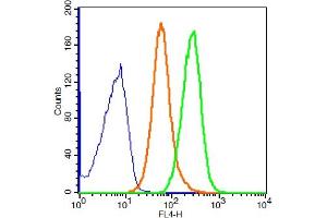 Flow Cytometry (FACS) image for anti-Protein Phosphatase 1, Regulatory (Inhibitor) Subunit 15A (PPP1R15A) (AA 401-500) antibody (AbBy Fluor® 647) (ABIN2174282)