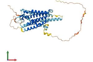 Protein Structure (PS) image for KISS1 Receptor (KISS1R) (AA 1-396) protein (His tag) (ABIN7559974)