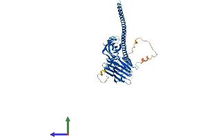 AlphaFold protein structure predicition of Human Recombinant FSD1 Protein, UniprotID Q9BTV5