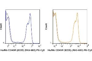 C57Bl/6 splenocytes were stained with 0. (CD45 抗体  (PE-Cy5))