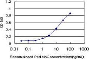 Detection limit for recombinant GST tagged EDA2R is approximately 1ng/ml as a capture antibody. (Ectodysplasin A2 Receptor 抗体  (AA 1-110))