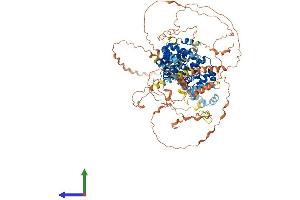 AlphaFold protein structure predicition of Human Recombinant TBC1D30 Protein, UniprotID Q9Y2I9