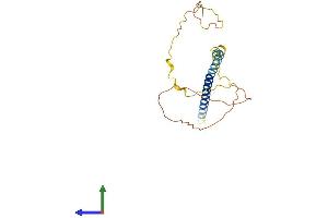 AlphaFold protein structure predicition of Human Recombinant TEX38 Protein, UniprotID Q6PEX7
