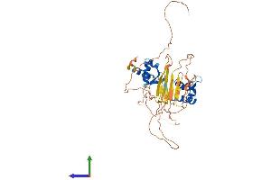 Protein Structure (PS) image for Z-DNA Binding Protein 1 (ZBP1) (AA 1-429) protein (His tag) (ABIN7545522)