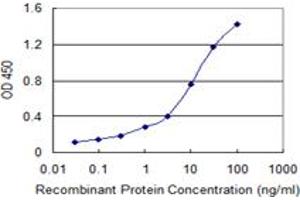 Detection limit for recombinant GST tagged SP100 is 0. (SP100 抗体  (AA 1-98))
