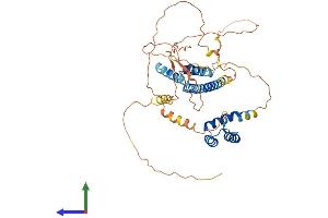 Protein Structure (PS) image for PBX/knotted 1 Homeobox 1 (PKNOX1) (AA 1-436) protein (His tag) (ABIN7562553)