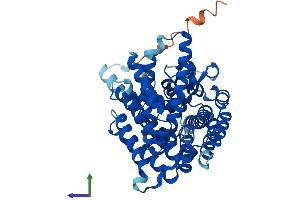 Protein Structure (PS) image for Membrane Bound O-Acyltransferase Domain Containing 7 (MBOAT7) (AA 1-473) protein (His tag) (ABIN7559337)