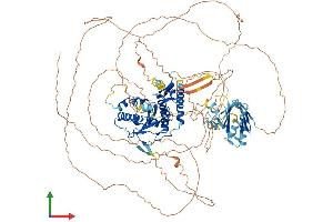AlphaFold protein structure predicition of Human Recombinant SENP7 Protein, UniprotID Q9BQF6 (SENP7 Protein (AA 1-1050) (His tag))