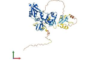 Protein Structure (PS) image for PDZ Domain Containing 3 (PDZD3) (AA 1-498) protein (His tag) (ABIN7560408)