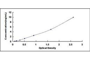 Typical standard curve (G Protein-Coupled Receptor 182 ELISA 试剂盒)