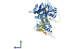 Protein Structure (PS) image for Protein Phosphatase, EF-Hand Calcium Binding Domain 1 (PPEF1) (AA 1-653) protein (His tag) (ABIN7550949)