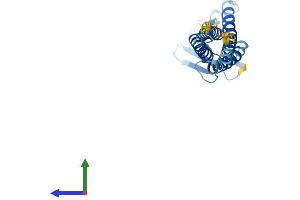 Protein Structure (PS) image for Claudin 4 (CLDN4) (AA 1-210) protein (His tag) (ABIN7562259)