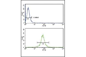 Flow Cytometry (FACS) image for anti-Killer Cell Immunoglobulin-Like Receptor, Two Domains, Long Cytoplasmic Tail, 4 (KIR2DL4) (AA 296-323), (C-Term) antibody (ABIN652985)