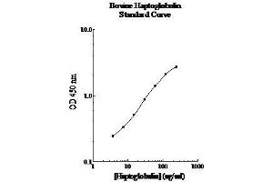 ELISA image for Haptoglobin (HP) ELISA Kit (ABIN612672) (Haptoglobin ELISA 试剂盒)