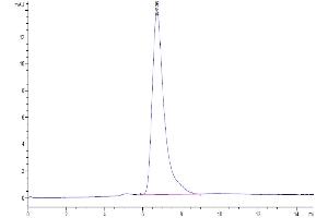 The purity of Human FGFR1 alpha (IIIc) is greater than 95 % as determined by SEC-HPLC.