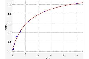 Typical standard curve (PUMA ELISA 试剂盒)