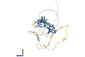 AlphaFold protein structure predicition of Mouse Recombinant Dok1 Protein, UniprotID P97465