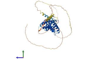Protein Structure (PS) image for Ribosomal RNA Processing 1 Homolog A (RRP1) (AA 1-494) protein (His tag) (ABIN7556466)