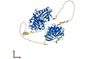 Protein Structure (PS) image for Polo-Like Kinase 3 (PLK3) (AA 1-631) protein (His tag) (ABIN7563879)