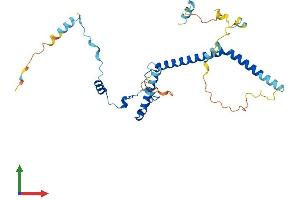 Protein Structure (PS) image for EBNA1 Binding Protein 2 (EBNA1BP2) (AA 1-306) protein (His tag) (ABIN7547269)