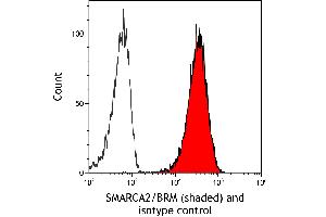 Flow Cytometry (FACS) image for anti-SWI/SNF Related, Matrix Associated, Actin Dependent Regulator of Chromatin, Subfamily A, Member 2 (SMARCA2) (AA 100-150) antibody (ABIN7795711)