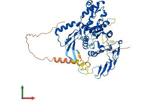 Protein Structure (PS) image for Zinc Finger, CCHC Domain Containing 4 (ZCCHC4) (AA 1-513) protein (His tag) (ABIN7545430)