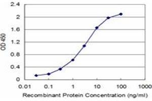 Detection limit for recombinant GST tagged CBS is approximately 0. (CBS 抗体  (AA 1-100))